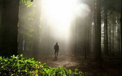 Digital Sabbatical: What I learned