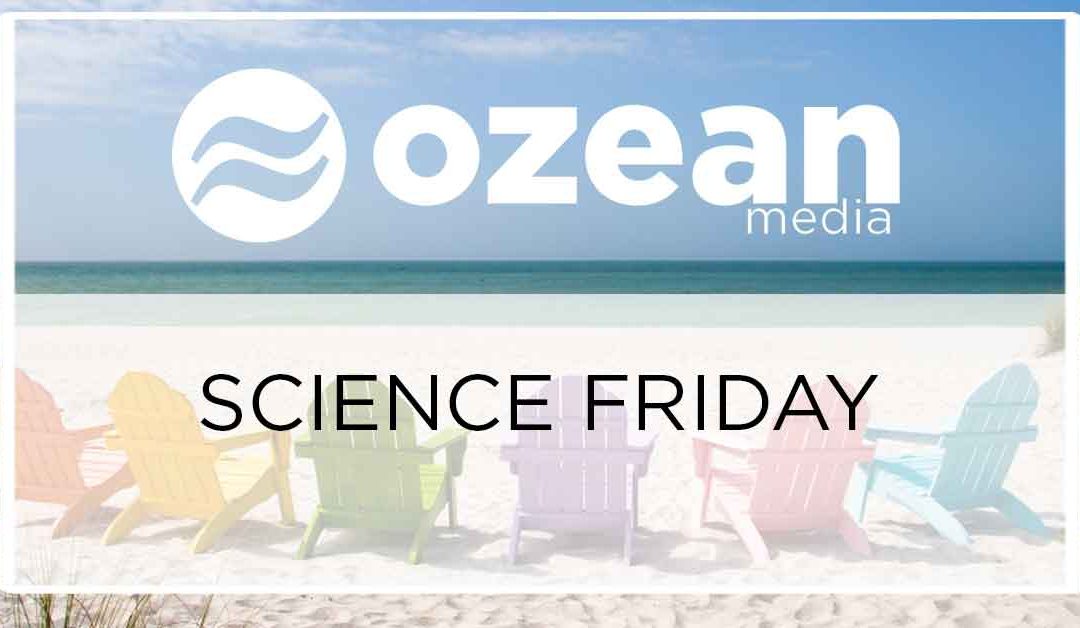 Science Friday:  Inoculation Theory or How to Protect Yourself From Political Attack