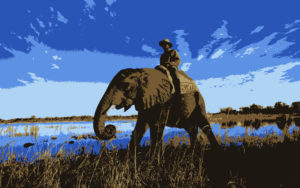digital media & our brains - the elephant and rider